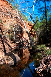 Secret Canyon Trail