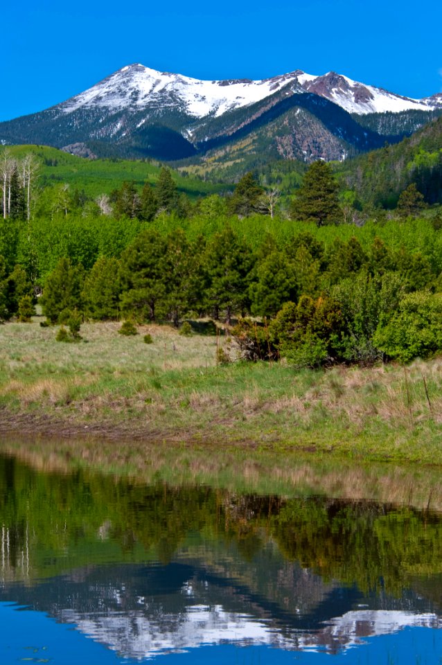 Lockett Meadow