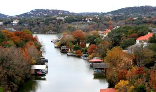 Foliage On Lake Austin