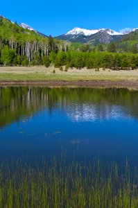 Lockett Meadow