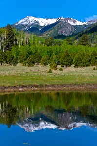 Lockett Meadow photo