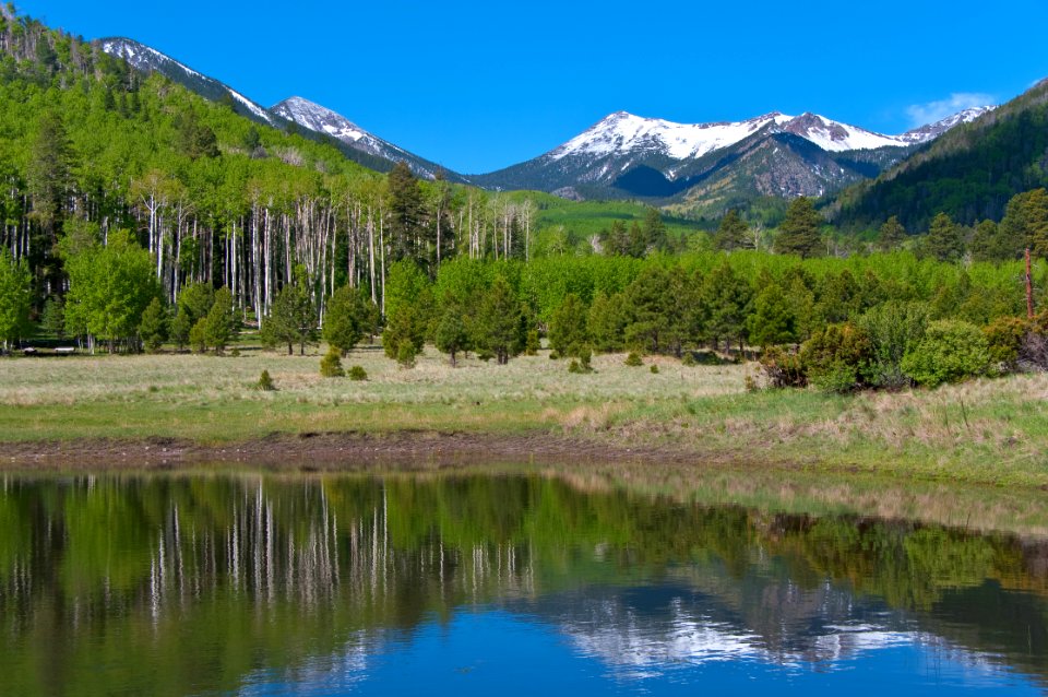 Lockett Meadow