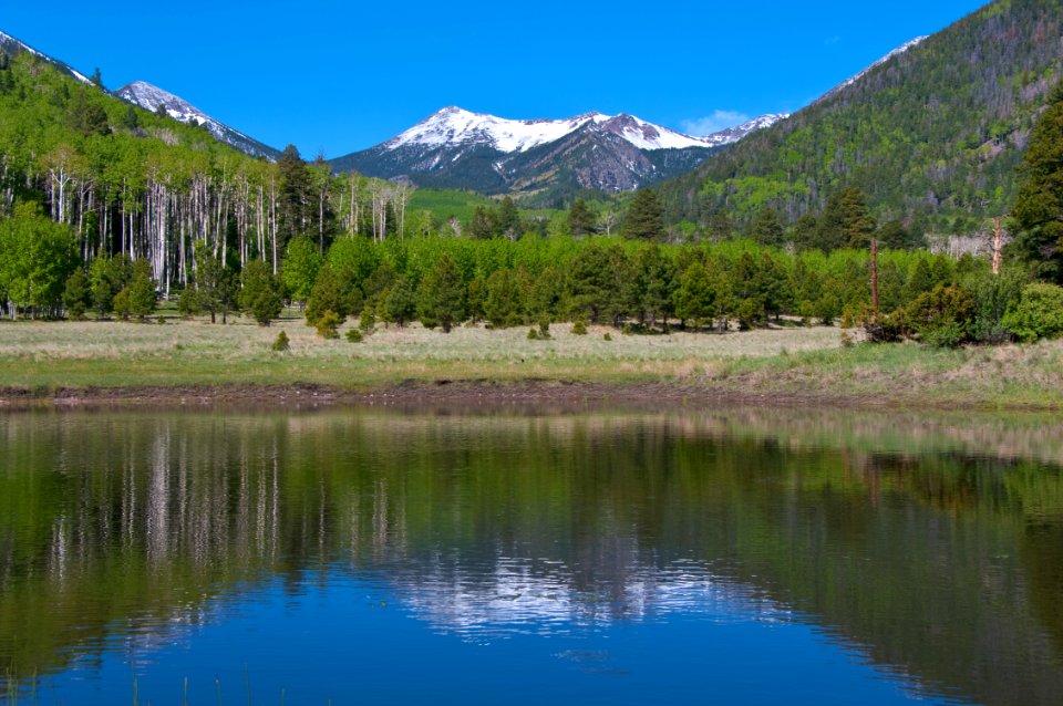 Lockett Meadow