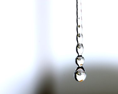 Drops Hanging