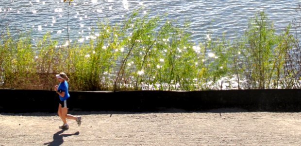 Water Plant People In Nature Body Of Water