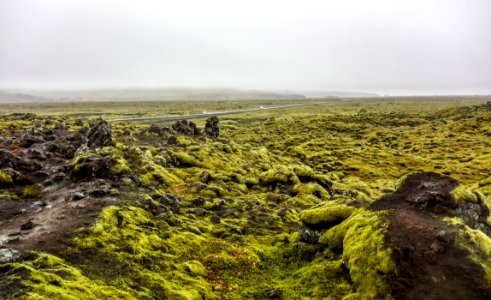 Mossy Lava Rocks Iceland