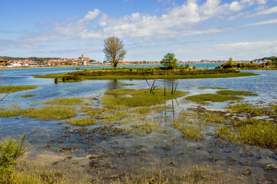 Plaiaundi