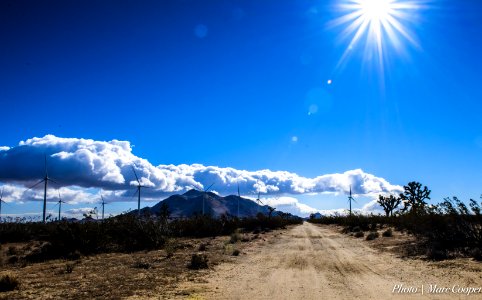 Walk In The Sun