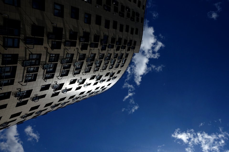Cloud Sky Building Plant