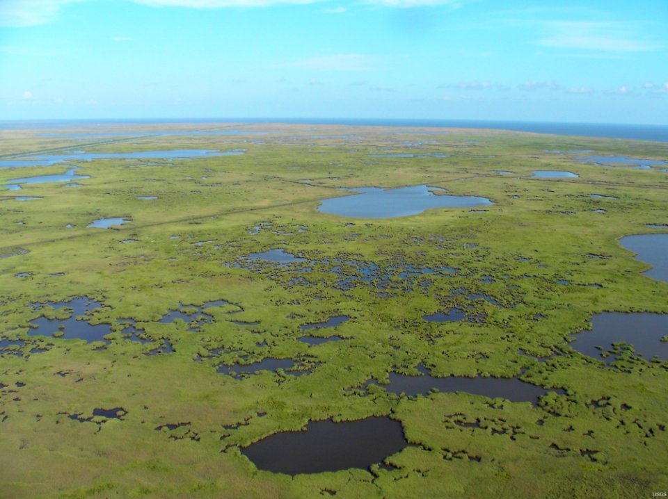 Mississippi River Delta