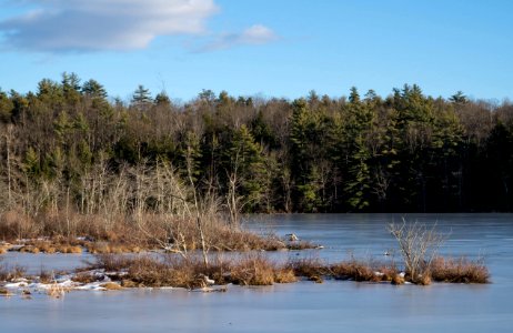 Winter Maine Afternoon