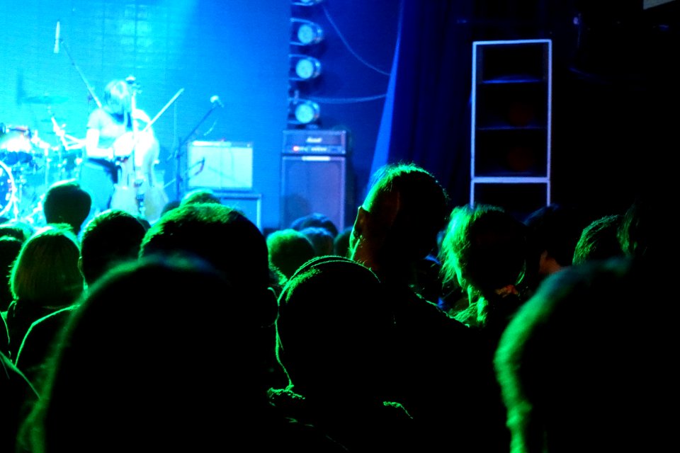 Green Purple Concert Entertainment