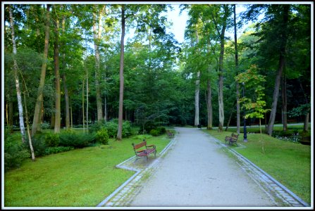 Park Kudowa Zdrj Poland
