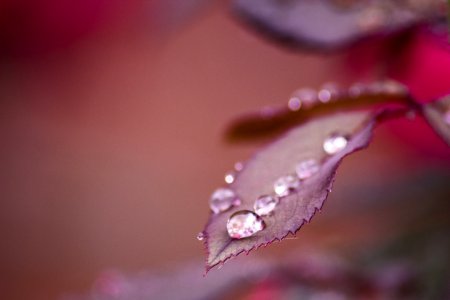 Rainy Day Macro 2