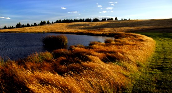 One Of The Nicer Looking Water Hazards