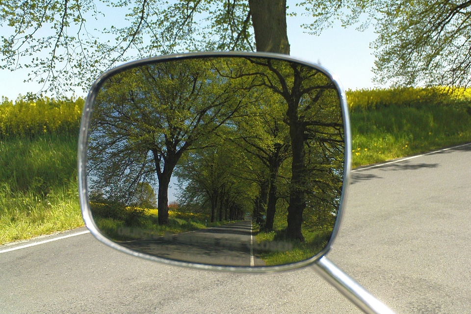 Reflection nature tree