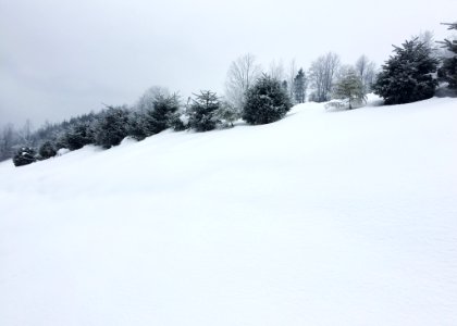 Winter Landscape