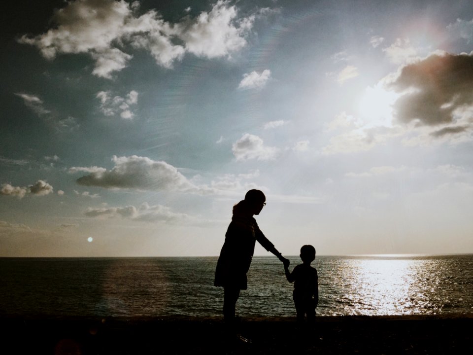 25365 The Beautiful Seascape