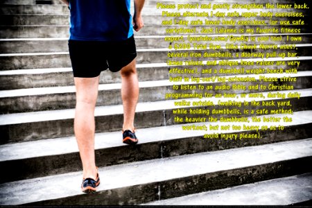 Joint Shoe Photograph Shorts