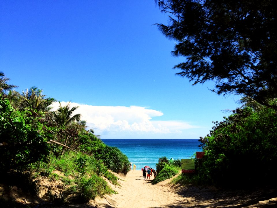 32365 Baisha Bay (White Sand Bay)
