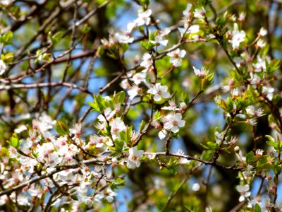 Its Spring