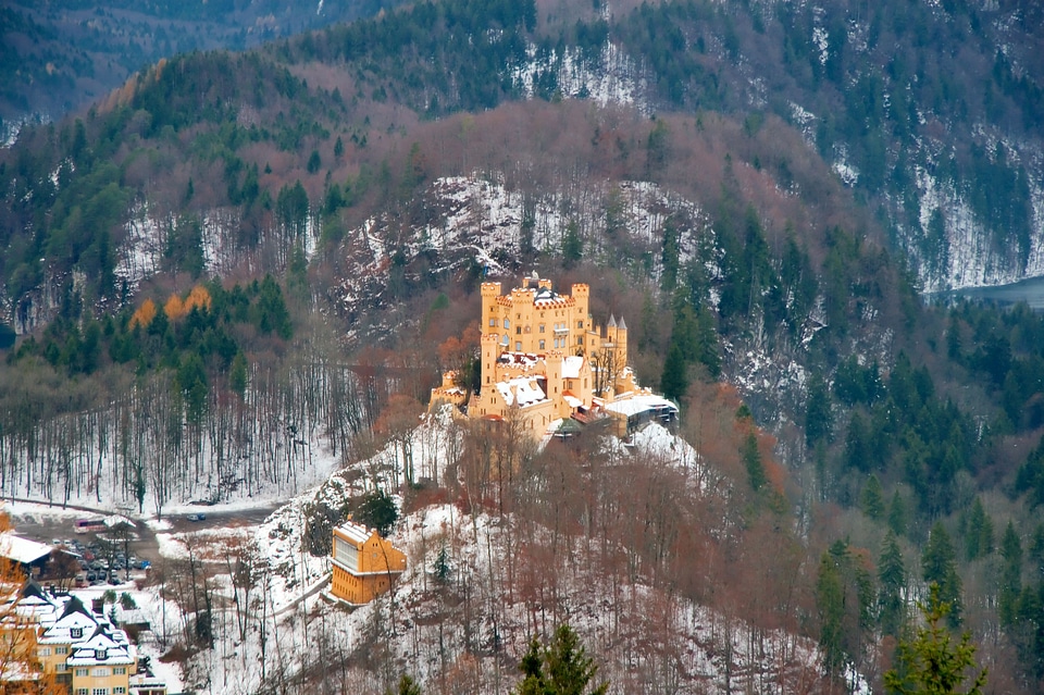 Architecture forest neuschwanstein