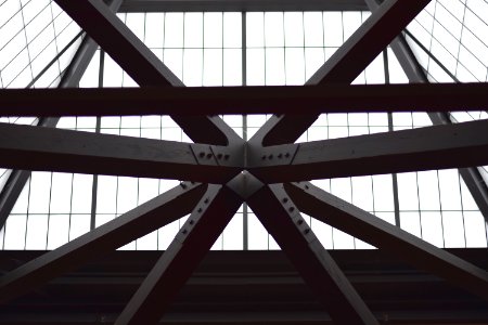 Francis Ford Coppola Winery Ceiling