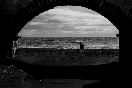 Faial Azores