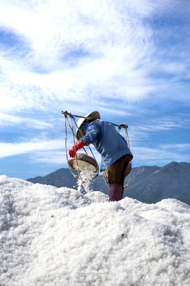 SALT FIELD