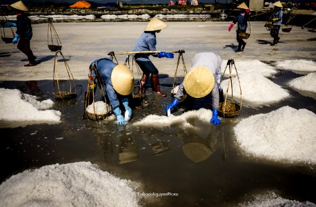SALT FIELD