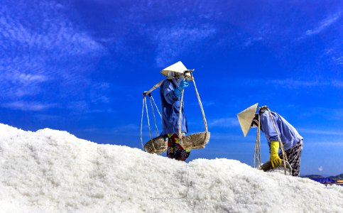SALT FIELD