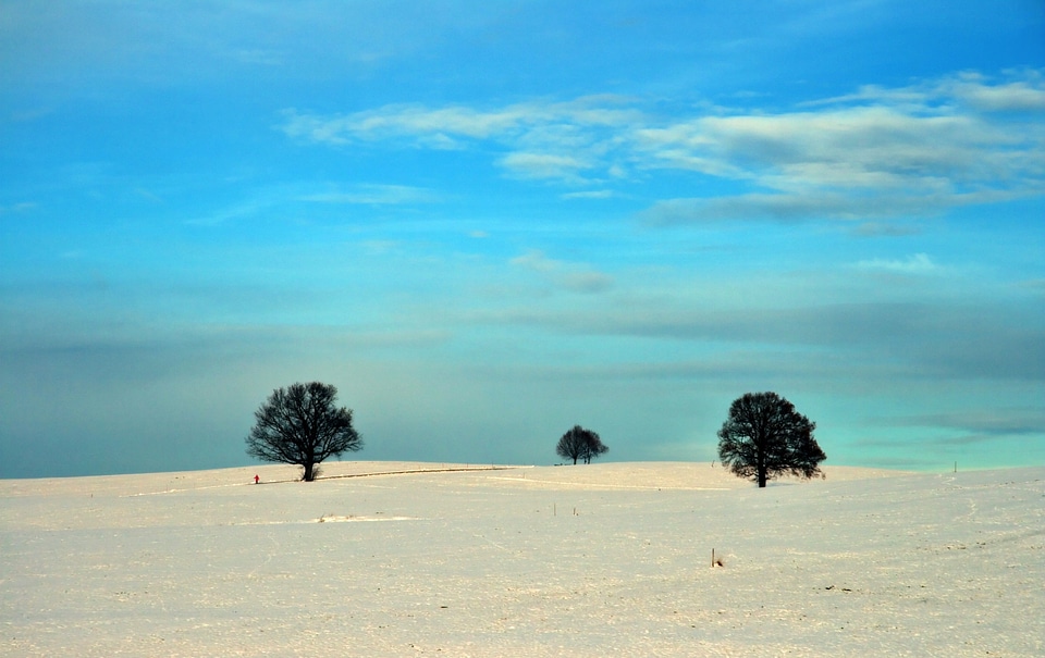 Snow winter cold