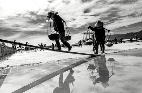 SALT FIELD
