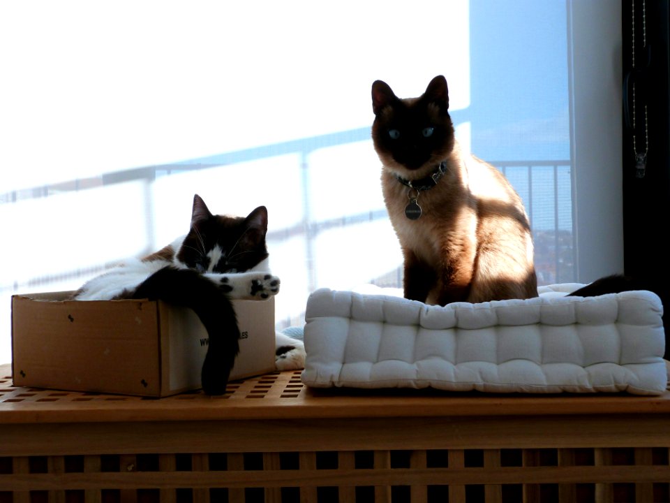 Nap Time Photoshoot