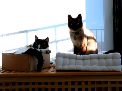 Nap Time Photoshoot