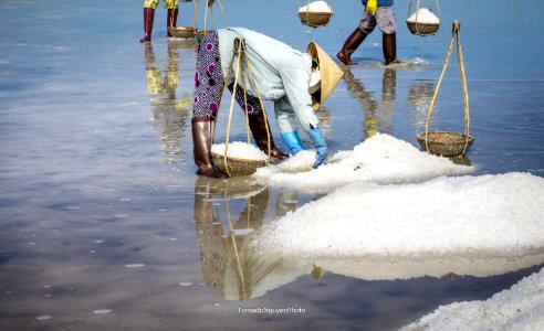 SALT FIELD