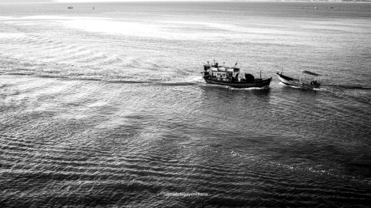 SALT FIELD photo