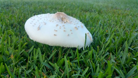 20160818081006