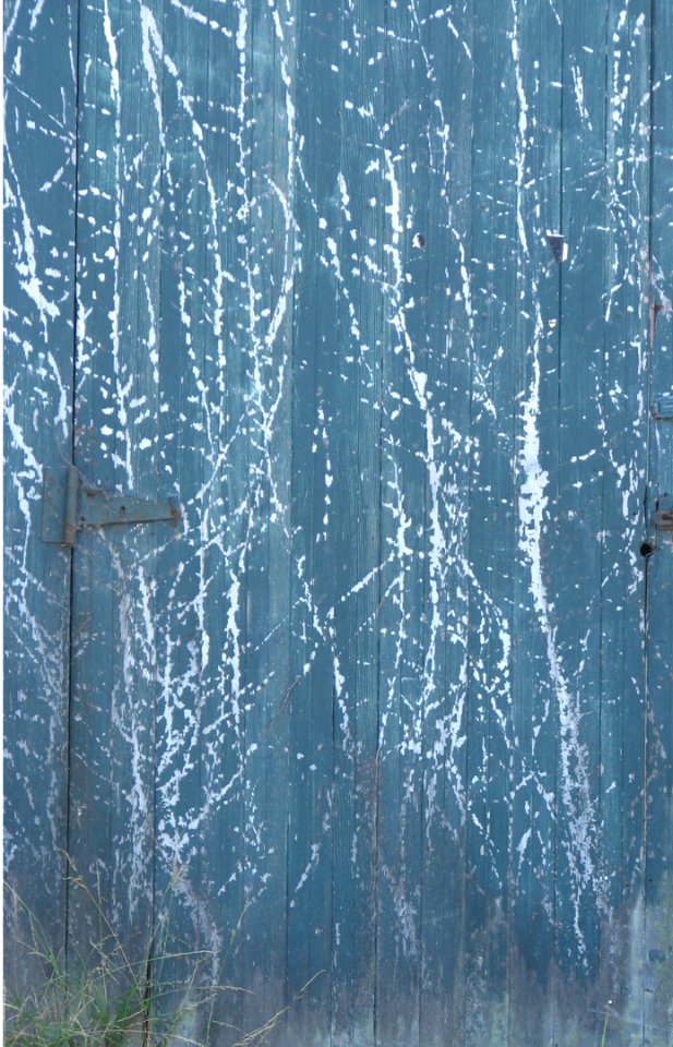 Vine Ghosts On Blue Wood
