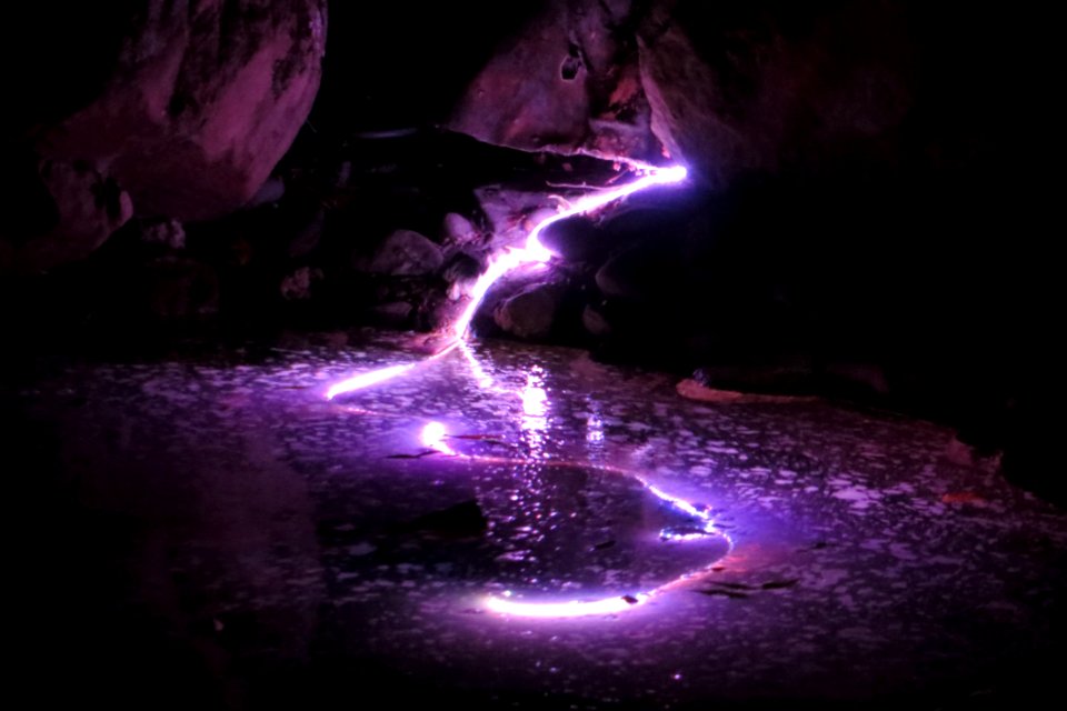 Pond With Purple Light