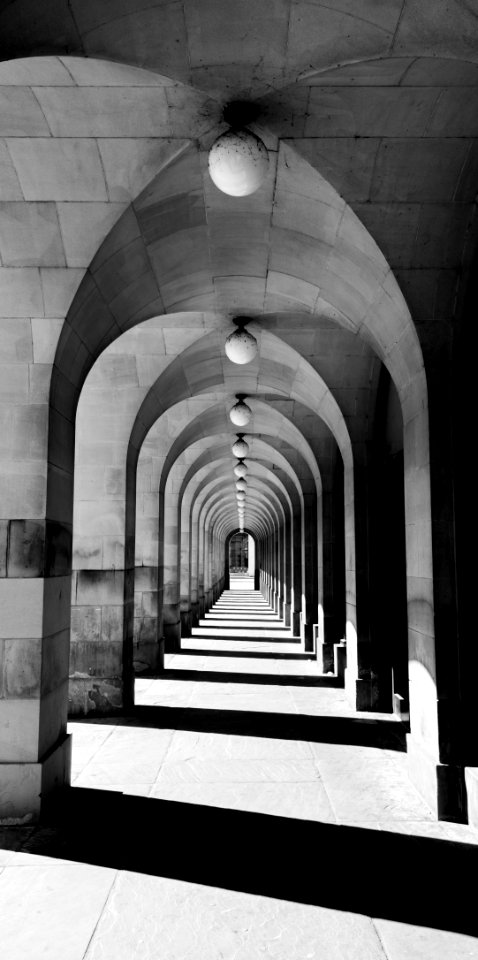 The Long View