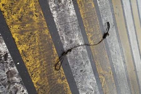 Automotive Tire Wood Road Surface Asphalt photo