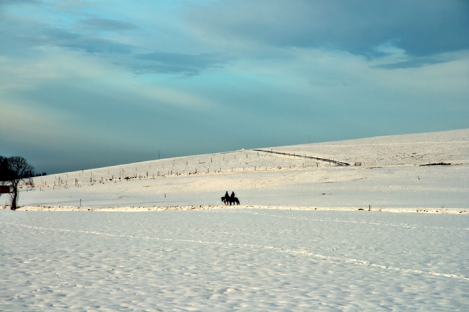 Scenic landscape fields