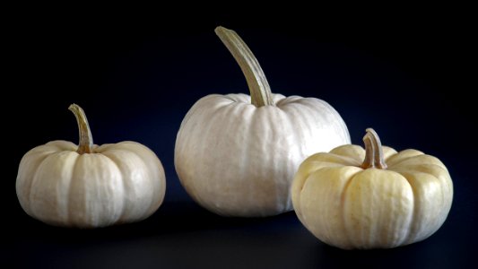 Mini White Pumpkins
