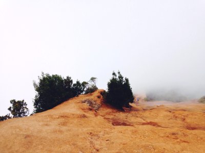 Hikers On Foggy Landscape
