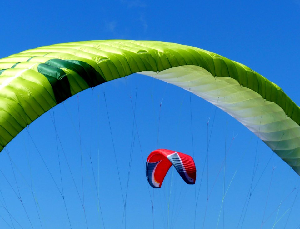 Hanging In The Breeze