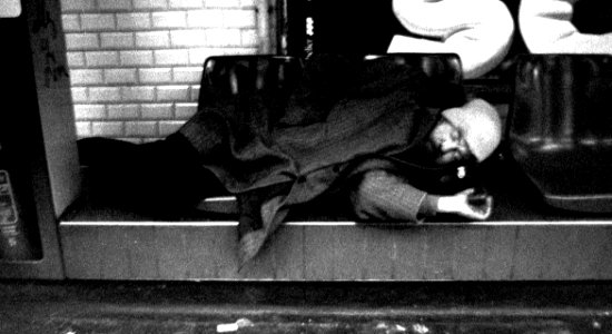 Mammal Black-and-white Grey Style