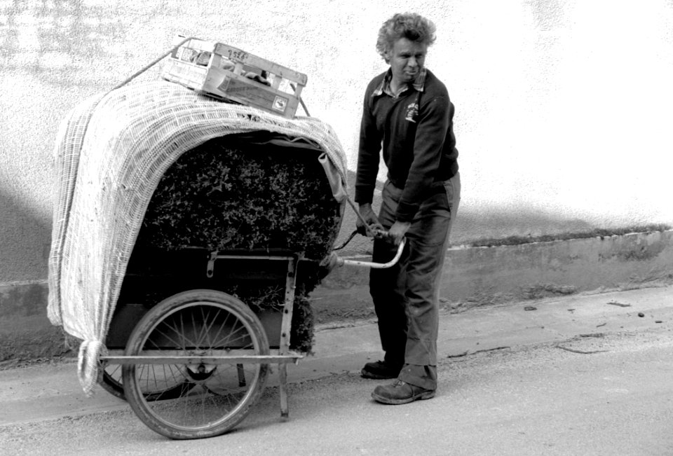 Wheel Tire Motor Vehicle Automotive Tire