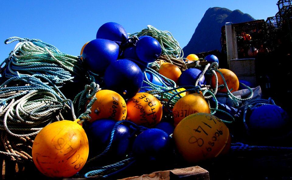 Fishnet Floats photo