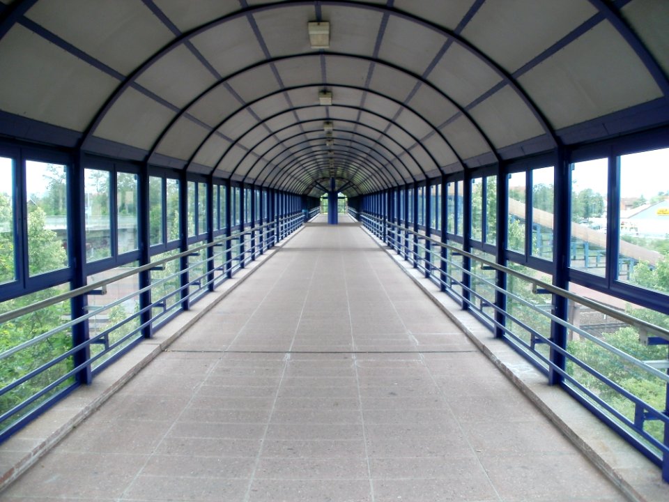 View Of Greenhouse